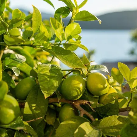 Azzurro With Private 게스트하우스